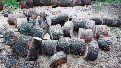 PIŁA SPALINOWA PILARKA ŁAŃCUCHOWA DO DREWNA 2X ŁAŃCUCH 2X PROWADNICA 2xOLEJ na Arena.pl