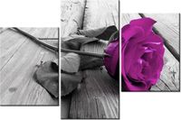 product-compare-58699074