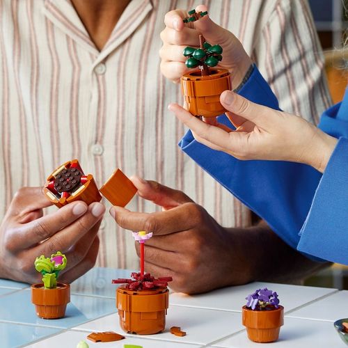 LEGO ICONS Małe roślinki 10329 na Arena.pl