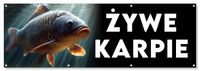 BANER reklamowy reklama ŻYWE KARPIE budynek ogrodzenie stelaż 150cm