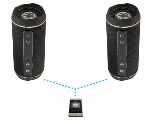 Głośnik bluetooth Manta SPK13GO czarny 10 W na Arena.pl