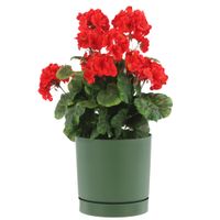 Doniczka z podstawką okrągła Ø23,9 cm matowa kolor zielony