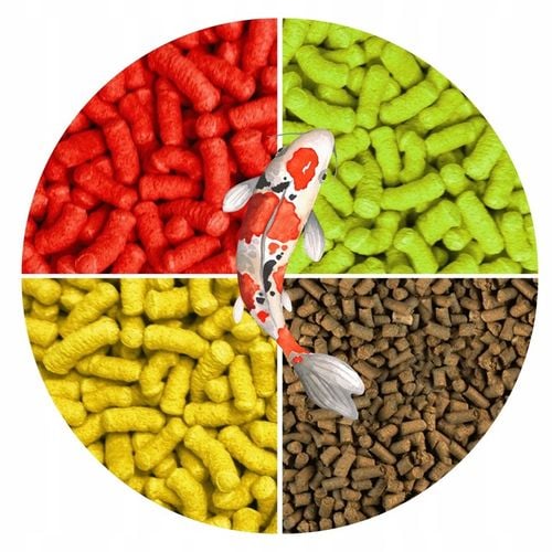 POKARM KARMA PASZA ZANĘTA GRANULAT DLA RYB KOI KARPI NA OCZKO WODNE na Arena.pl