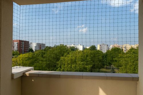 OCHRONNA SIATKA NA PTAKI GOŁĘBIE 10X10M MOCNA PRZECIW PTAKOM SZPAKOM na Arena.pl