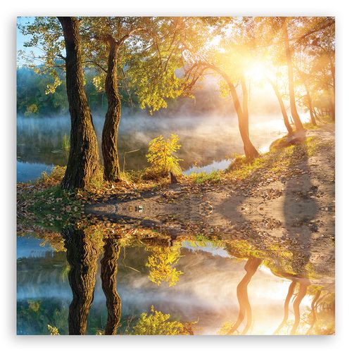 OBRAZ NA PŁÓTNIE Las Krajobraz Natura na Arena.pl