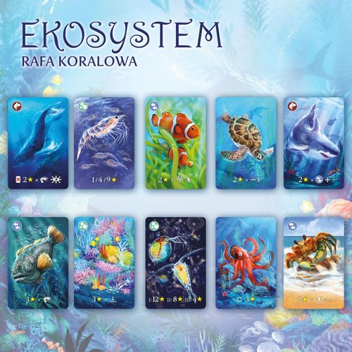 Gra Eko system 2 Rafa koralowa na Arena.pl