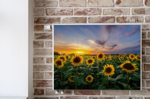 MAGNETYCZNA Mata Grzejnika Pole Słoneczników Zachód SŁOŃCA 80cm x 60cm na Arena.pl