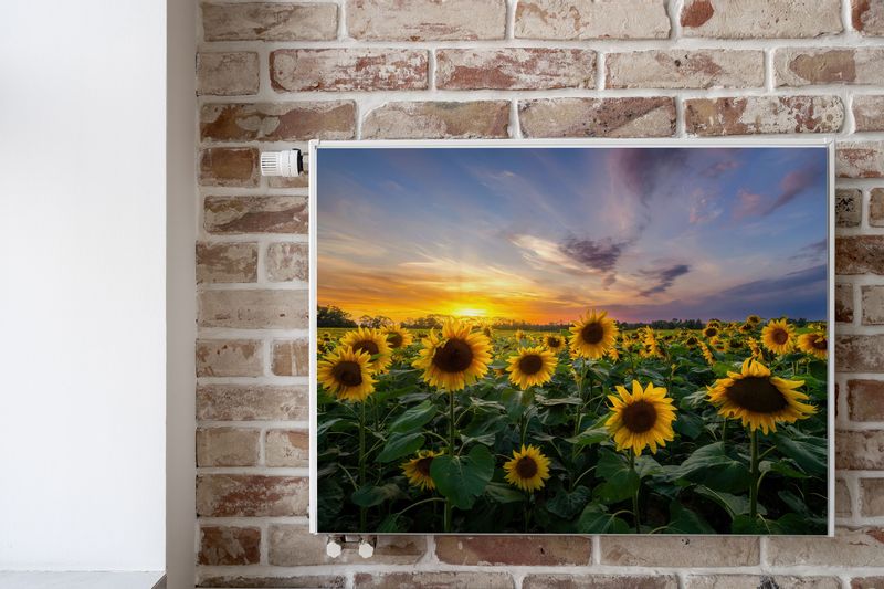 MAGNETYCZNA Mata Grzejnika Pole Słoneczników Zachód SŁOŃCA 80cm x 60cm zdjęcie 6