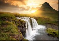 product-compare-58710872