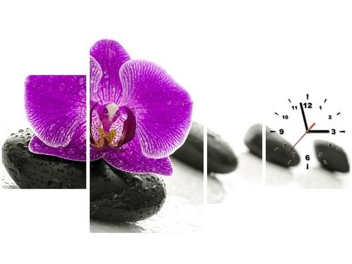 70CM 120CM OBRAZ 4 ELEM STORCZYK KAMIENIU ŚCIENNY na Arena.pl