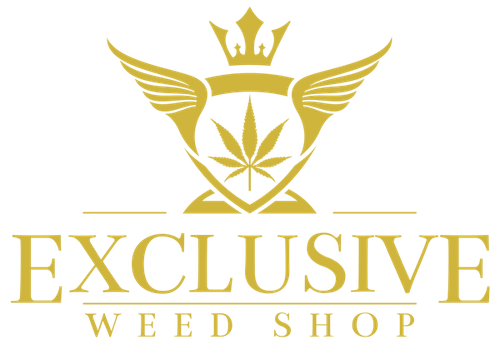 Susz konopny AK 47 CBD Exclusive Weed 5g na Arena.pl