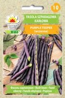 Fasola Szparagowa Karłowata Purple Teepee Nasiona Warzyw Fasoli 30G