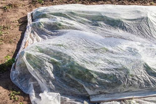 Otulina Wiosenna 3,2x20m Okryciowa 19g/m2 Lekka Rośliny Włóknina Ziemniaki na Arena.pl