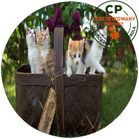 Opłatek na tort Koty