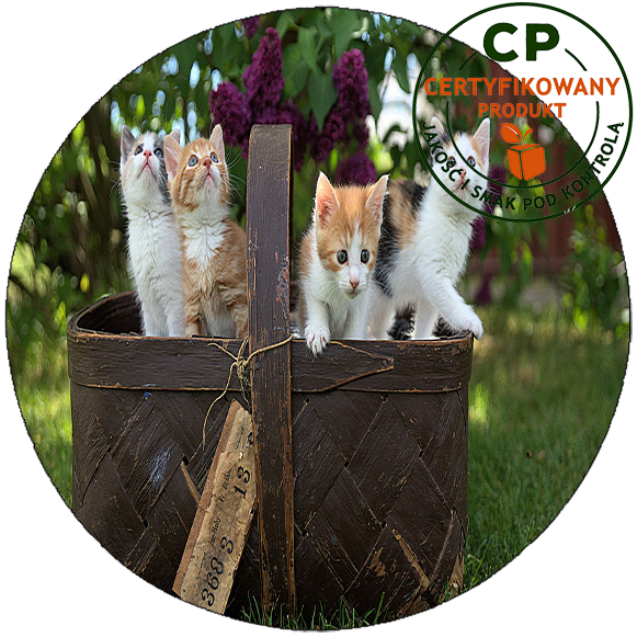 Opłatek na tort Koty zdjęcie 1