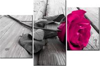 product-compare-58699444