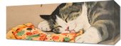 Obraz 50x20cm Pizza Dla Kota