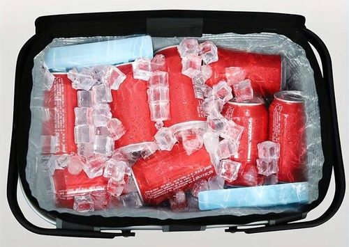 KOSZ PIKNIKOWY SKŁADANY TORBA TERMICZNA TURYSTYCZNY KOSZYK IZOLACYJNY 30L na Arena.pl