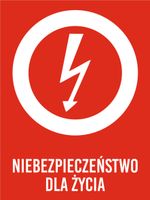 Tablica Niebezpieczeństwo dla życia grawer piktogram 20x15 cm duży wybór