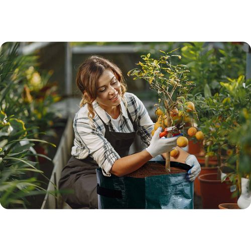 Worek do uprawy warzyw 43 l Plonos PL-964 na Arena.pl