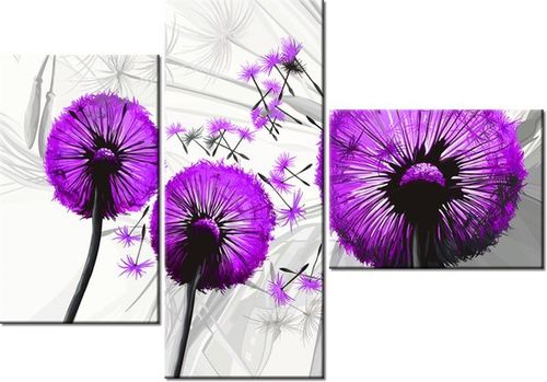 100CM 80 OBRAZ 3 ELEM DMUCHAWCE FIOLECIE ŚCIENNY na Arena.pl