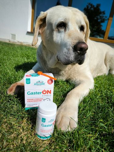 VITAR Veterinae GasterON SYMBIO - probiotyki i prebiotyki - aż 100 dawek na Arena.pl