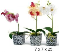 product-compare-61200538