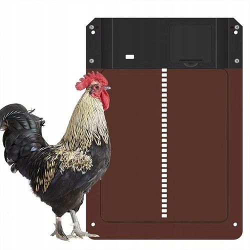 AUTOMATYCZNE DRZWI DO KURNIKA OTWIERANIE DRZWI IP45 Z CZUJNIKIEM ŚWIATŁA na Arena.pl