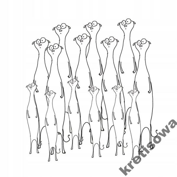 MĘSKA KOSZULKA SURYKATKA SURYKATKI WZORY s1c zdjęcie 1