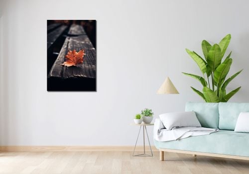 Obraz 60x90cm Pojedynczy Liść na Arena.pl