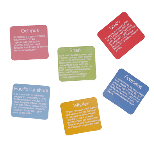 Montessori Sortowanie Nauka Liczenia Logiki Myślenia Karty Gra Układanka na Arena.pl