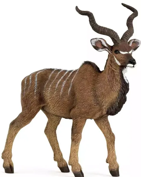 Antylopa kudu wielka zdjęcie 1