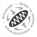 Dr Enzmann Glutation MSE 300mg 60 kapsułek na Arena.pl