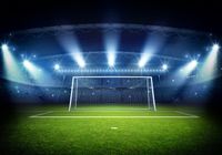 Emaga Fototapeta Bramka Na Stadionie Tapeta Samoprzylepna 416x254