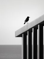 product-compare-59366606