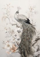 Plakat 70x100cm Pawia Gracja