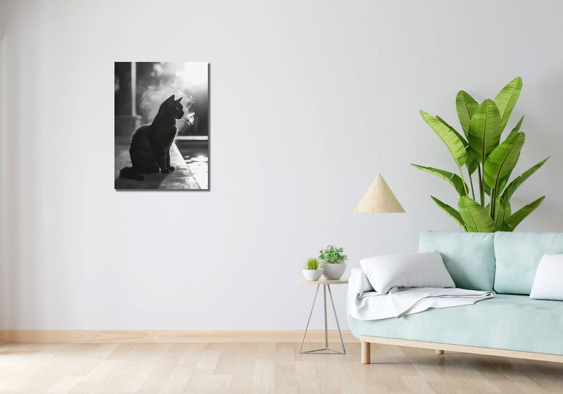 Obraz 50x70cm Kocia Przerwa zdjęcie 2