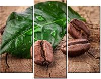 60 90CM OBRAZ 3 ELEM ZIARNA KAWY DESCE ŚCIENNY DRUK PŁÓTNO