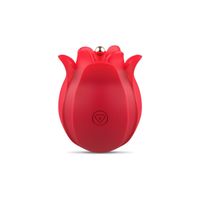 Stymulator łechtaczkowy Diversual