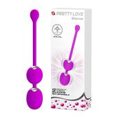 PRETTY LOVE - WERNER USB 12 function