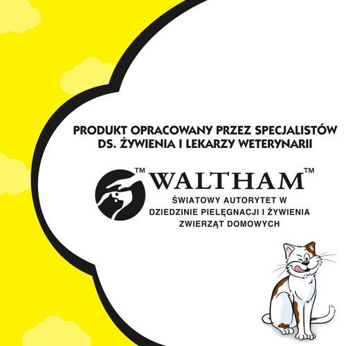 Dreamies z serem 60g na Arena.pl
