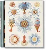 The Art and Science of Ernst Haeckel - Voss Julia