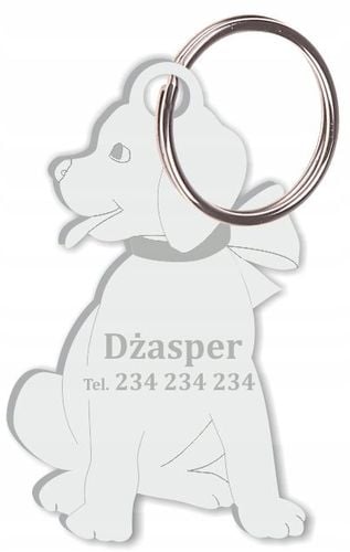 Adresówka Identyfikator grawerowany dla Psa Kota na Arena.pl