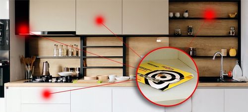 5X PUŁAPKA NA MOLE SPOŻYWCZE. SILNIE WABIĄCY LEP NA MOLE FEROTRAP na Arena.pl