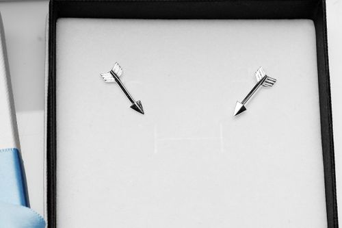 Kolczyki Staviori SSS5190 na Arena.pl