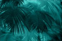 Tło FLAT LAY do fotografii produktowej kulinarnej