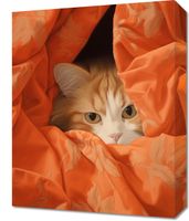 Obraz 40x50cm Ukryty Kot