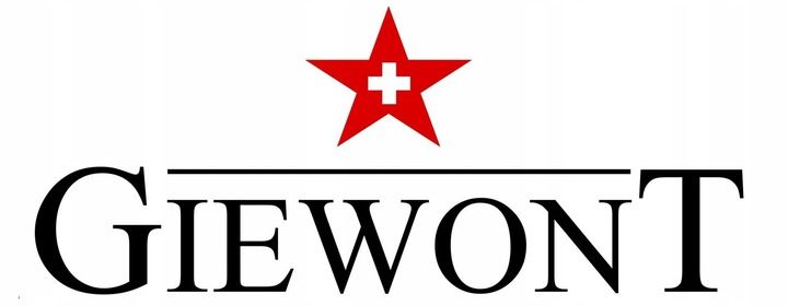 SMARTWATCH GIEWONT GW230-1 Dynamic SmartCall ROZMOWY SMS SPORT ALERT KROKI zdjęcie 7