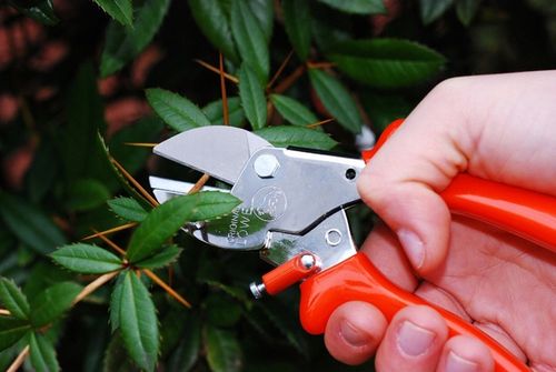 Sekator LOWE 5.107 - ergonomiczna rączka na Arena.pl