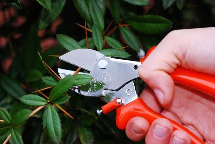 Sekator LOWE 5.107 - ergonomiczna rączka zdjęcie 8